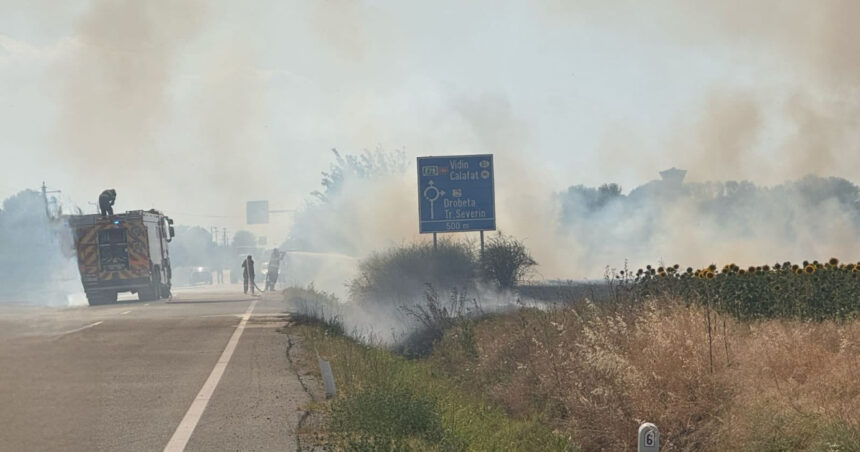 Incendiu puternic de vegetaţie la Maglavit, în Dolj, pe o suprafață de 70 – 80 hectare; trafic rutier deviat. 1 video incendiu puternic de vegetatie la maglavit in dolj pe o suprafata de 70 80 hectare traficul rutier a fost deviat 685d6acb6cf2f