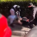 video incepe procesul in cazul individului prins in flagrant cand cumpara 2 kg de canabis cu peste 6 000 de euro 6861bfabafd09