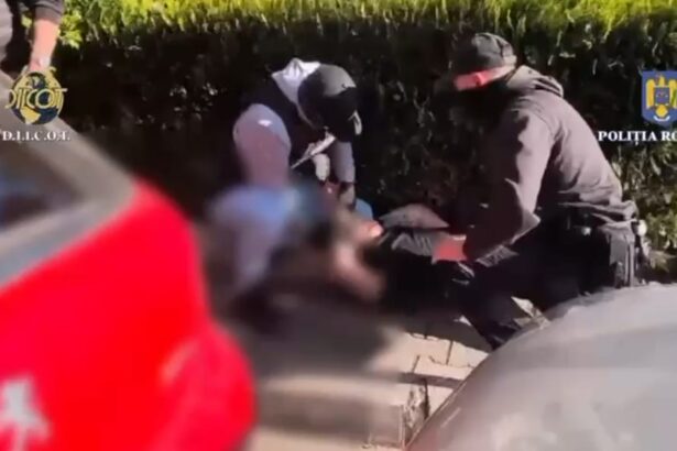 video incepe procesul in cazul individului prins in flagrant cand cumpara 2 kg de canabis cu peste 6 000 de euro 6861bfabafd09