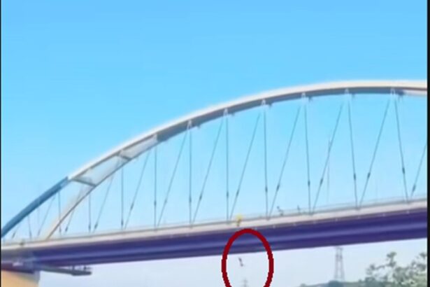 video momentul cand tanarul de 22 de ani a sarit de pe podul de la murfatlar pentru o provocare de pe tiktok surprins in imagini 684931f051fa5