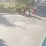 Noi date în cazul crimei din cartierul rezidențial de lângă București: Pistolul folosit de bărbat ar fi fost furat din Italia (Surse) 2 video noi date in cazul crimei din cartierul rezidential de langa bucuresti pistolul folosit de barbat ar fi fost furat din italia surse 683da01d8fc02