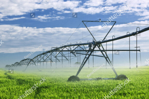 video propunerile lui nicusor dan pentru agricultura sisteme de imprumuturi si de asigurari specifice iar statul sa investeasca in irigatii 6841a1815c9ed