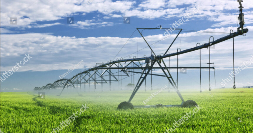 video propunerile lui nicusor dan pentru agricultura sisteme de imprumuturi si de asigurari specifice iar statul sa investeasca in irigatii 6841a1815c9ed