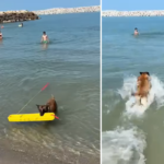 video salvamarii din costinesti au cooptat un nou membru in echipa pe chelsea o femela malinois 68518f5ccb032