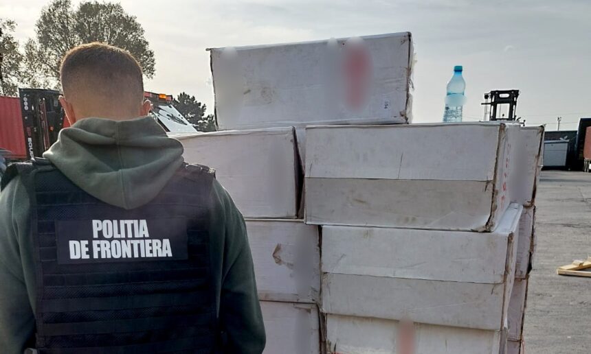 video sapte milioane de tigarete descoperite intr un container in portul constanta 685667f2e1174