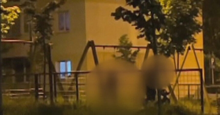 video scene socante intr un parc din brasov femeie batuta de sot in timp ce copilul plange in leagan agresorul a fost retinut 68465f92f3b73