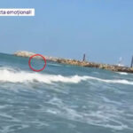 Tragedie evitată la limită: Tânăra abandonată de iubit în mijlocul valurilor, la Costinești, salvată de la moarte. 2 video tragedie evitata la limita cum a fost salvata de la moarte tanara abandonata de iubit in mijlocul valurilor la costinesti 684992b74e666