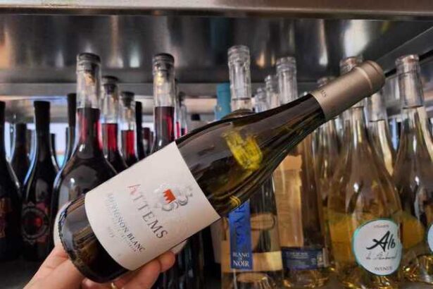 vinul zilei un sauvignon blanc de la o crama din italia al carui nume este sinonim cu excelenta in domeniul vinurilor note olfactive de mere verzi ardei gras si agrise completate pe palat de citr 685ce3429c486