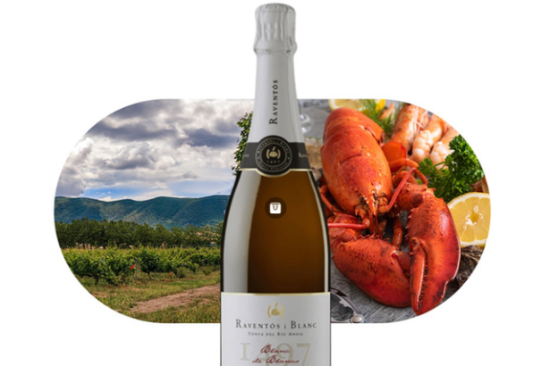 vinul zilei un spumant mediteraneean vibrant cu note de flori albe citrice si nuci savuros alaturi de fructe de mare peste tartar de somon preparate fine cu legume si branzeturi cotat cu 92 pu 68579d38352a3
