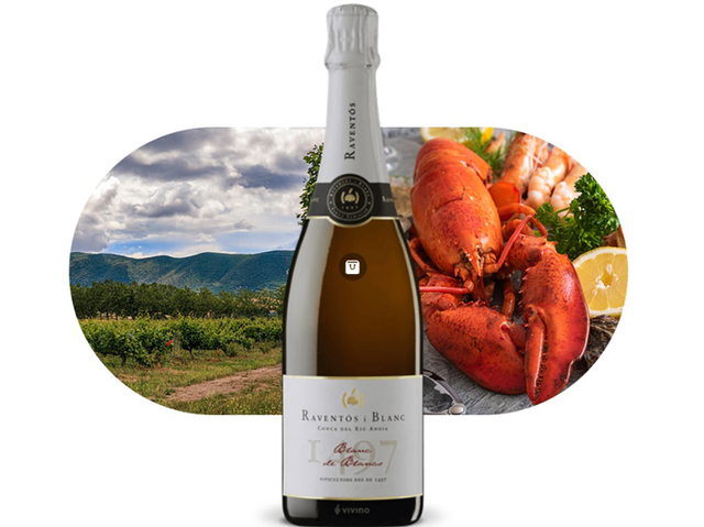 vinul zilei un spumant mediteraneean vibrant cu note de flori albe citrice si nuci savuros alaturi de fructe de mare peste tartar de somon preparate fine cu legume si branzeturi cotat cu 92 pu 68579d38352a3