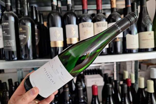 vinul zilei un vin de zi cu zi prietenos tonic si usor de baut cu note florale dominante urmate de arome de mere pere verzi grapefruit lamaie si piersica coapta 68491cbf7fd28