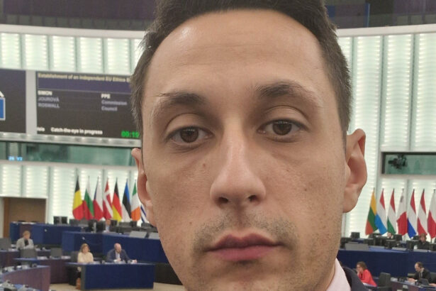 vlad gheorghe miroase a anticipate este nevoie mai mult ca oricand de o miscare reformatoare autentica 685416c31333a