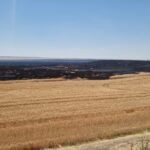 zi de foc incendii de vegetatie uscata la topraisar mereni medgidia agigea si corbu 685d22930a496