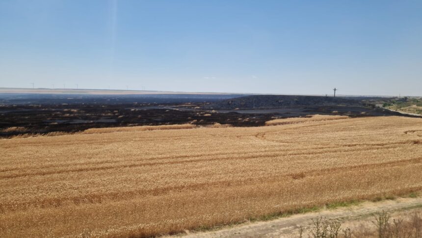 Zi de FOC: Incendii de vegetație uscată în Topraisar, Mereni, Medgidia, Agigea și Corbu 1 zi de foc incendii de vegetatie uscata la topraisar mereni medgidia agigea si corbu 685d22930a496
