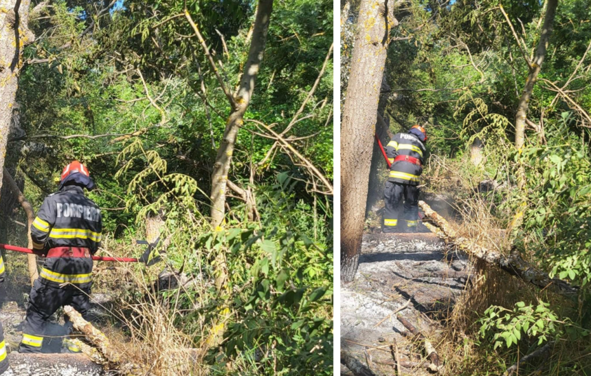 Incendiu provocat de un autoturism în litiera pădurii din localitatea Caraorman, zi de foc pentru pompierii din Tulcea 1 zi de foc pentru pompierii din tulcea un incendiu pornit de la un autoturism a cuprins litiera padurii din localitatea caraorman 685837f47f80a