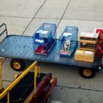 Zooland.ro - Generația Z refuză zborurile cu avionul din cauza animalelor de companie 2 zooland ro generatia z evita sa zboare cu avionul din cauza animalelor de companie 684bc35b10af2