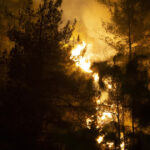 10 pompieri morti si 14 raniti in incendiile de vegetatie din centrul turciei 6881cf345e99c