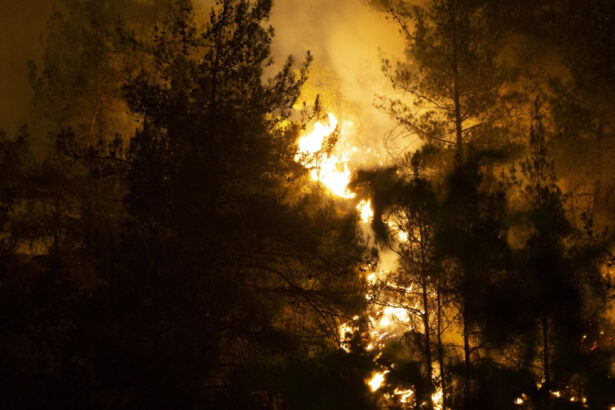 10 pompieri morti si 14 raniti in incendiile de vegetatie din centrul turciei 6881cf345e99c