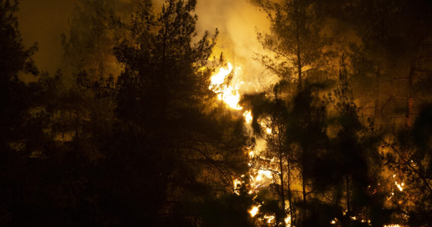10 pompieri morti si 14 raniti in incendiile de vegetatie din centrul turciei 6881cf345e99c
