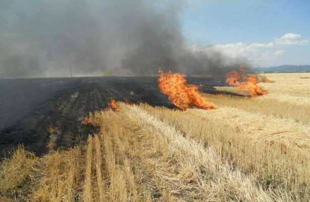 a luat foc vegetatia uscata de pe islazul localitatii castelu intervin pompierii constanteni 6877a4005a146