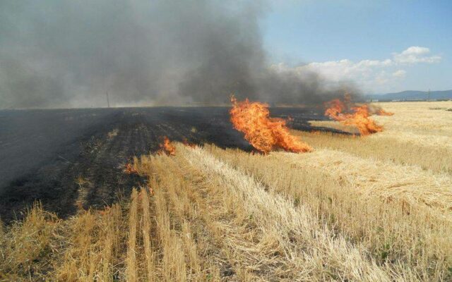 a luat foc vegetatia uscata de pe islazul localitatii castelu intervin pompierii constanteni 6877a4005a146