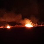Incendiu de vegetație uscată pe Valea Portului din Constanța: Pompierii intervin la fața locului 3 a luat foc vegetatia uscata de pe valea portului din constanta pompierii intervin la fata locului 68754a8ed6977