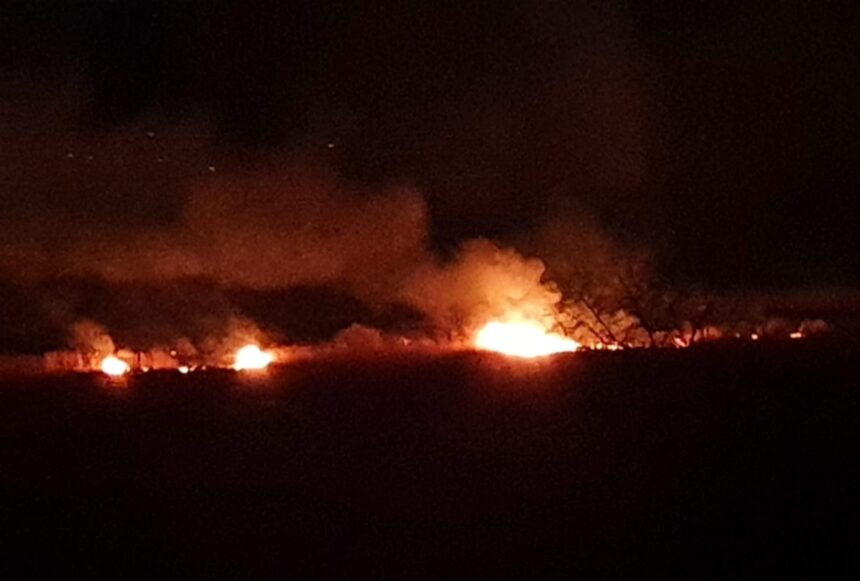 Incendiu de vegetație uscată pe Valea Portului din Constanța: Pompierii intervin la fața locului 1 a luat foc vegetatia uscata de pe valea portului din constanta pompierii intervin la fata locului 68754a8ed6977