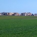 administratia locala promitea un parc imens dar planurile sunt blocate proiectul de 51 de milioane de euro suspendat 6879854e93b0a