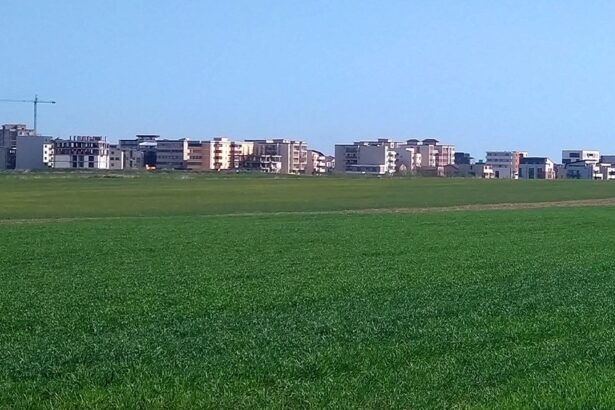 administratia locala promitea un parc imens dar planurile sunt blocate proiectul de 51 de milioane de euro suspendat 6879854e93b0a