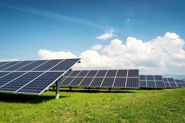 aeroport din romania isi ridica un parc fotovoltaic 687784385f797