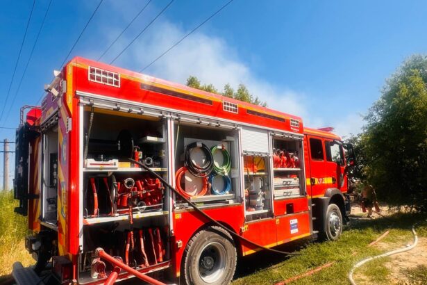 alerta arde un saivan in comuna cobadin 6873c463d1496