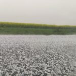 alerta de vijelie ploi torentiale si grindina pentru 52 de localitati din judetul constanta 6888ea742e348