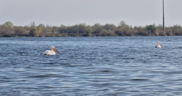 alerta in delta dunarii ambarcatiune cu turisti rasturnata in golful musura mai multe persoane sunt resuscitate 6887bf9d77972