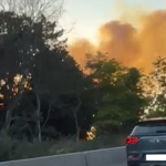 Alertă în Eforie Nord: Incendiu pe strada Daliei 2 alerta in eforie nord un incendiu a izbucnit pe strada daliei 6866bf7fcf8ff