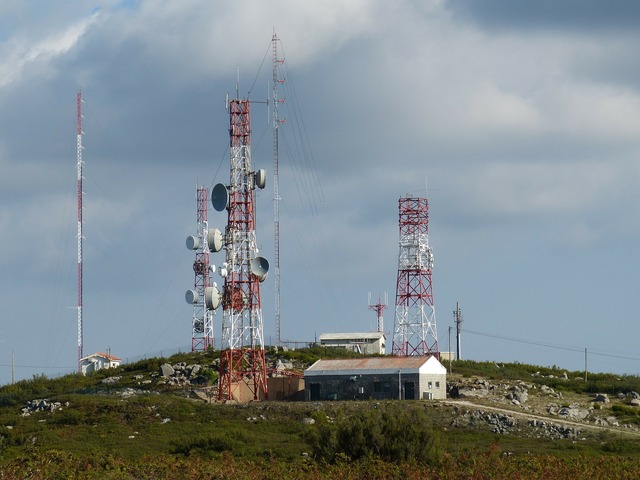 ANALIZĂ Lupta Orange - Digi - Vodafone - Telekom: Rezultatul net a devenit negativ. Afaceri în creștere, datorii mai mari 1 analiza lupta orange digi vodafone telekom rezultatul net a intrat pe minus afaceri in crestere datorii mai mari 686691d2286a7