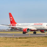 animawings lanseaza trei noi rute din bucuresti 687a2e1b292a6
