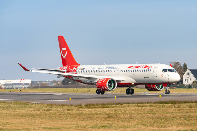 animawings lanseaza trei noi rute din bucuresti 687a2e1b292a6