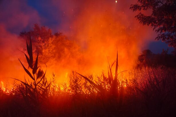 anunt important al mae pentru romani cod rosu de incendii in mai multe provincii italiene 687dd1cf65040