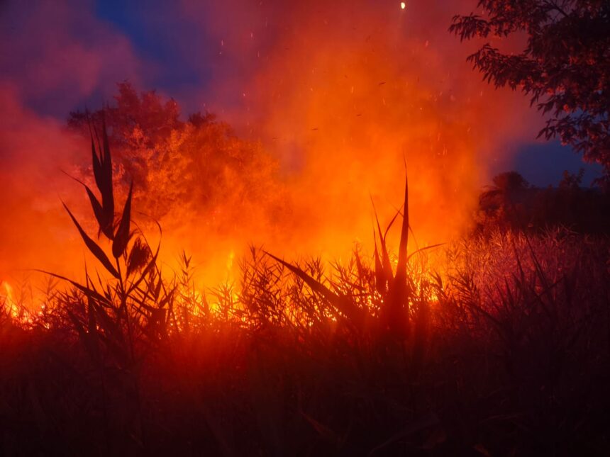 anunt important al mae pentru romani cod rosu de incendii in mai multe provincii italiene 687dd1cf65040