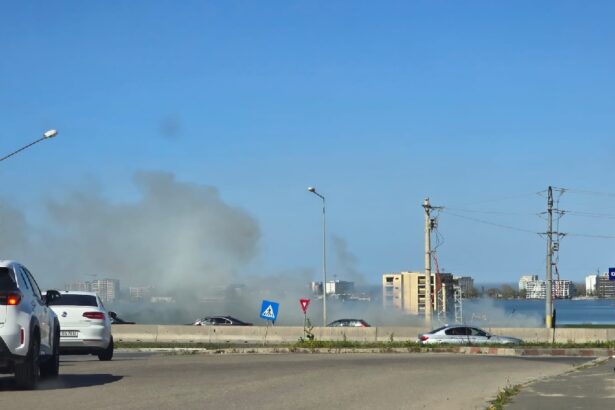 arde vegetatia uscata de pe malul lacului siutghiol la intrare in constanta 6867c3b3ccff1