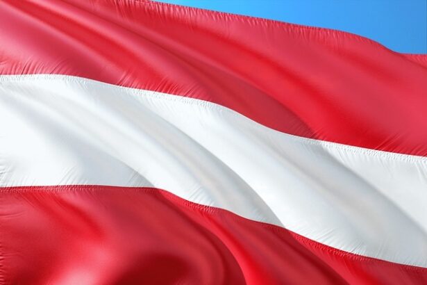 austria expulzeaza oficial un sirian o premiera in ue 68667cba9031c