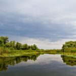 Avertisment ARBDD: Cotele apelor Dunării au scăzut drastic. Circulația este dificilă pe majoritatea lacurilor și canalelor. 3 avertisment arbdd au scazut drastic cotele apelor dunarii se circula cu dificultate pe majoritatea lacurilor si canalelor 68768e0e52e2f