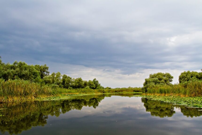 Avertisment ARBDD: Cotele apelor Dunării au scăzut drastic. Circulația este dificilă pe majoritatea lacurilor și canalelor. 1 avertisment arbdd au scazut drastic cotele apelor dunarii se circula cu dificultate pe majoritatea lacurilor si canalelor 68768e0e52e2f