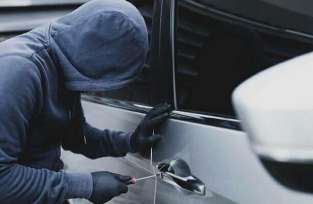 barbat arestat pentru furturi din autoturisme comise in mangalia 6880f6cade88e
