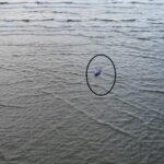 barcagiul militar din sulina care a condus ambarcatiunea ce s a rasturnat in zona golfului musura a fost arestat preventiv 4 persoane au murit 688a235a5f330