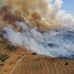 bilant devastator dupa incendiile de la periferaia orasului tulcea au ars 500 de hectare de grau si o ferma 686578898e35f