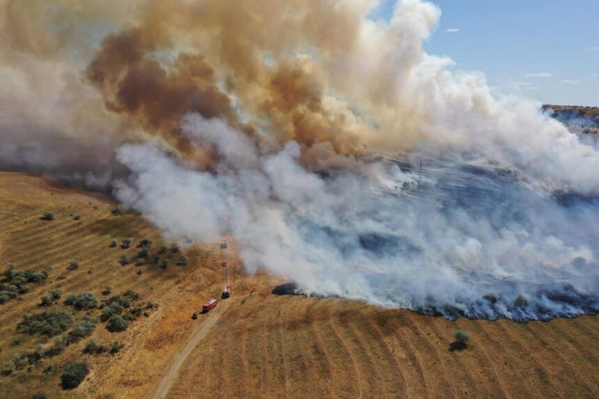bilant devastator dupa incendiile de la periferaia orasului tulcea au ars 500 de hectare de grau si o ferma 686578898e35f