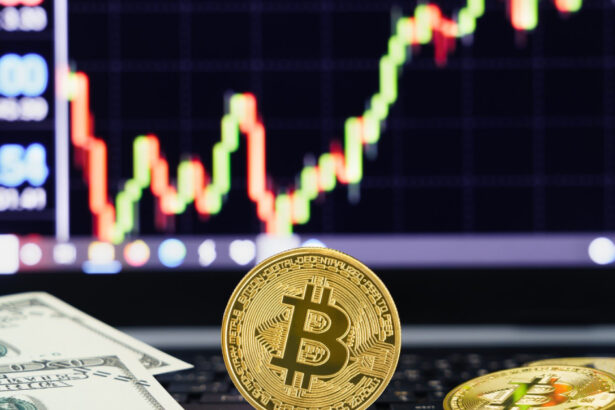 bitcoin atinge un nou record istoric pe ce pariaza investitorii in criptomonede 687564e505ec8