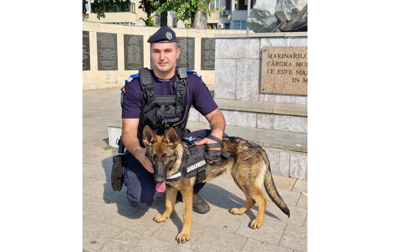 catelusa aria este cel mai nou membru al familiei jandarmeriei constanta ea se va specializa in detectarea substantelor stupefiante 68776eff0145c
