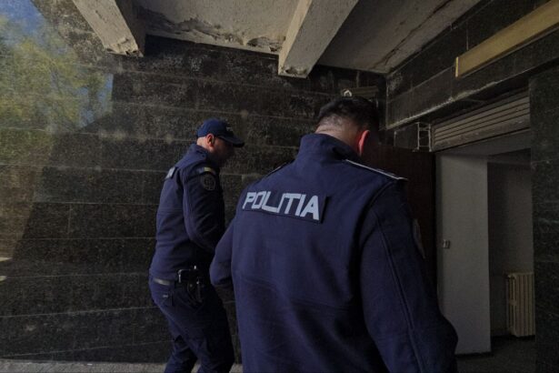 caz socant la ostrov femeie de 82 de ani lovita cu sapa in cap in plina strada agresorul tocmai a fost arestat 6870fe3f3cb9f